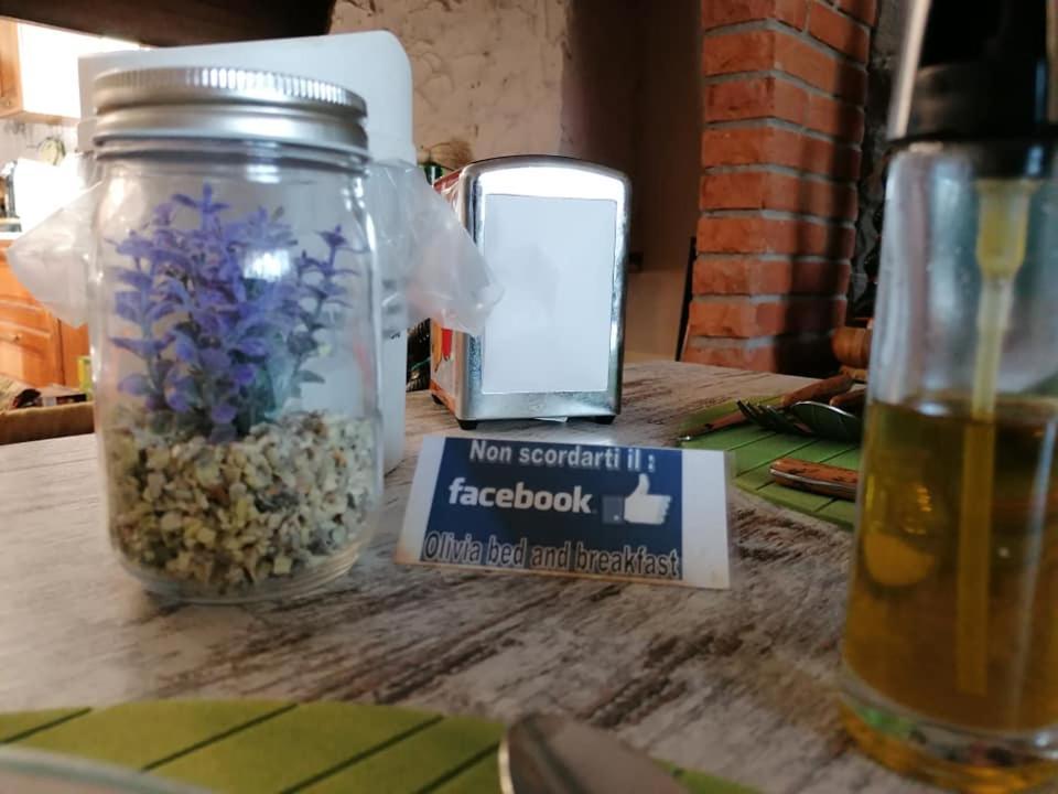Olivia B&B And Apartment Cantagrillo Экстерьер фото